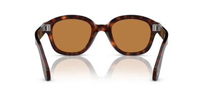 Persol PO0060S Havana/Brown #colour_havana-brown