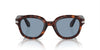 Persol PO0060S Havana/Blue #colour_havana-blue