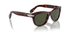 Persol PO0086S Havana/Green #colour_havana-green