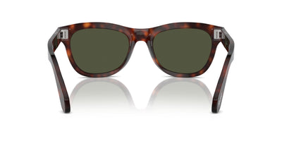 Persol PO0086S Havana/Green #colour_havana-green