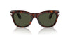 Persol PO0086S Havana/Green #colour_havana-green