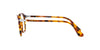 Persol PO1935V Madreterra #colour_madreterra