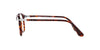 Persol PO1935V Havana #colour_havana
