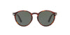Persol PO3171S Dark Tortoise/Green #colour_dark-tortoise-green