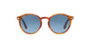 Persol PO3171S Light Tortoise/Blue #colour_light-tortoise-blue