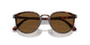 Persol PO3210S Dark Tortoise/Brown Polarised #colour_dark-tortoise-brown-polarised