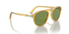 Persol PO3302S Miele/Green #colour_miele-green