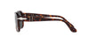 Persol Jean PO3310S Havana/Black #colour_havana-black