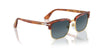 Persol PO3327S Terra Di Siena/Blue #colour_terra-di-siena-blue