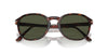 Persol PO3343S Havana/Green #colour_havana-green