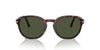 Persol PO3343S Havana/Green #colour_havana-green