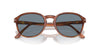 Persol PO3343S Terra Di Siena/Light Blue #colour_terra-di-siena-light-blue