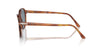 Persol PO3343S Terra Di Siena/Light Blue #colour_terra-di-siena-light-blue