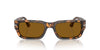 Persol Adrien PO3347S Brown Havana/Brown #colour_brown-havana-brown