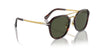 Persol PO3352S Havana/Green #colour_havana-green