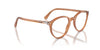Persol PO3353V Transparent Brown #colour_transparent-brown