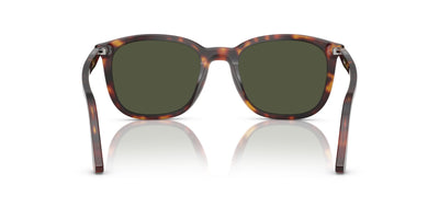Persol PO3355S Havana/Green #colour_havana-green