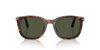 Persol PO3355S Havana/Green #colour_havana-green