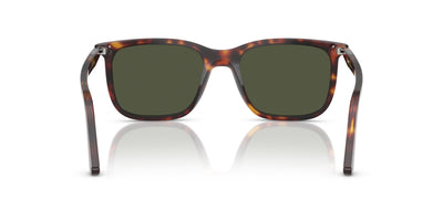 Persol Renzo PO3357S Havana/Green #colour_havana-green