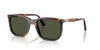 Persol Renzo PO3357S Havana/Green #colour_havana-green