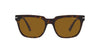Prada SPR04Y Tortoise/Brown #colour_tortoise-brown