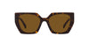 #colour_tortoise-dark-brown-polarised
