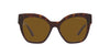 #colour_tortoise-polarised-dark-brown
