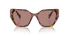Prada SPR19Z Tortoise Cognac Begonia/Light Brown #colour_tortoise-cognac-begonia-light-brown