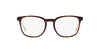 Prada VPR19Z Havana  #colour_havana-