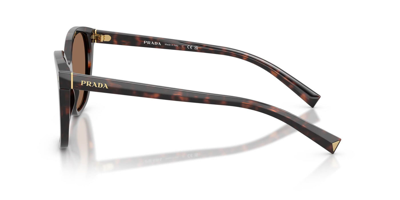 Prada SPR22Z Square Sunglasses | Maverick & Wolf