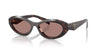 Prada SPR26Z Root Tortoise/Light Brown #colour_root-tortoise-light-brown