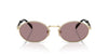 Prada SPR65Z Pale Gold/Light Purple Brown #colour_pale-gold-light-purple-brown