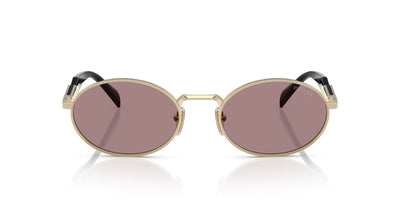 Prada SPR65Z Pale Gold/Light Purple Brown #colour_pale-gold-light-purple-brown