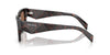 Prada SPR A06 Root Tortoise/Dark Brown #colour_root-tortoise-dark-brown