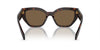 Prada SPR A09 Briar Tortoise/Dark Brown #colour_briar-tortoise-dark-brown