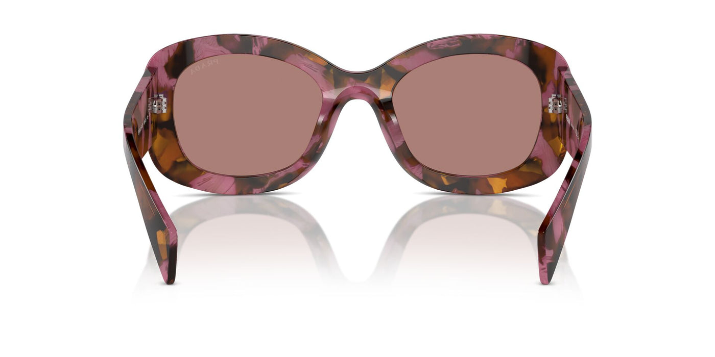 Prada SPR A13 Tortoise Cognac Begonia/Light Brown #colour_tortoise-cognac-begonia-light-brown