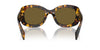 Prada SPR A13 Honey Tortoise/Dark Brown #colour_honey-tortoise-dark-brown