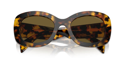 Prada SPR A13 Honey Tortoise/Dark Brown #colour_honey-tortoise-dark-brown