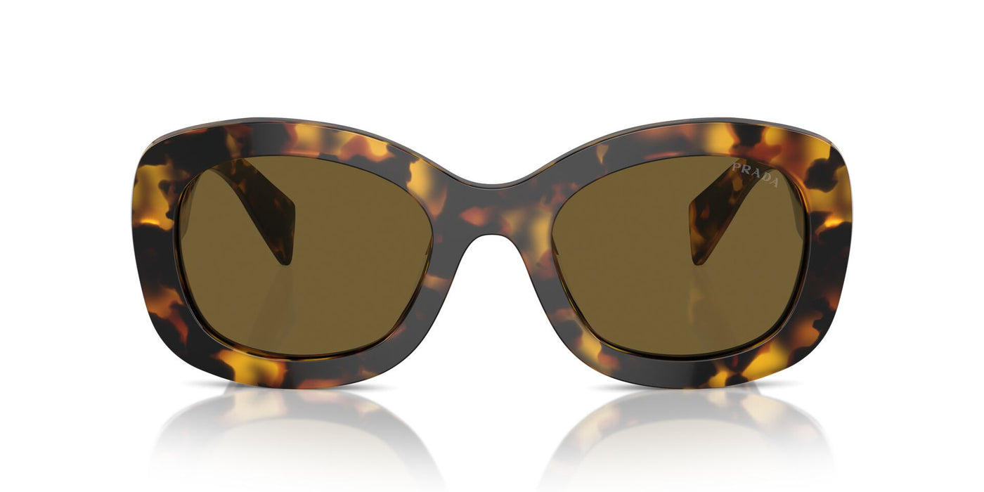 Prada SPR A13 Honey Tortoise/Dark Brown #colour_honey-tortoise-dark-brown