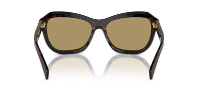 Prada SPR A27 Radica Tortoise/Green Olive #colour_radica-tortoise-green-olive