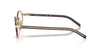 Prada VPR B55 Pale Gold-Root Tortoise #colour_pale-gold-root-tortoise