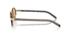 Prada SPR B56 Root Tortoise/Lente Camomilla Bio #colour_root-tortoise-lente-camomilla-bio