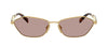 #colour_gold-light-purple-brown