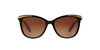 Ralph by Ralph Lauren RA5203 Shiny Black On Nude & Gold/Polarised Gradient Brown #colour_shiny-black-on-nude-gold-polarised-gradient-brown