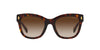 Ralph by Ralph Lauren RA5301U Shiny Dark Havana/Brown Gradient #colour_shiny-dark-havana-brown-gradient