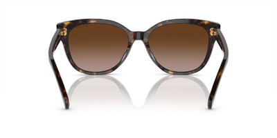 Ralph by Ralph Lauren RA5305U Black Havana/Brown Gradient #colour_black-havana-brown-gradient