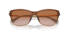 Ralph by Ralph Lauren RA5308U Shiny Transparent Brown/Brown Gradient #colour_shiny-transparent-brown-brown-gradient