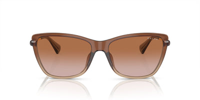 Ralph by Ralph Lauren RA5308U Shiny Transparent Brown/Brown Gradient #colour_shiny-transparent-brown-brown-gradient