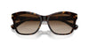 Ralph by Ralph Lauren RA5310U Shiny Dark Havana/Brown Gradient #colour_shiny-dark-havana-brown-gradient