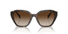 Ralph by Ralph Lauren RA5315U Shiny Dark Havana/Brown Gradient #colour_shiny-dark-havana-brown-gradient